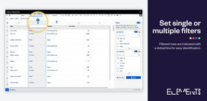 Set single or multiple filters for your tables